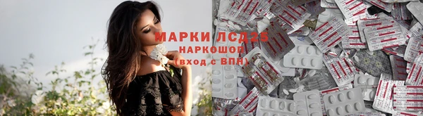 ECSTASY Армянск