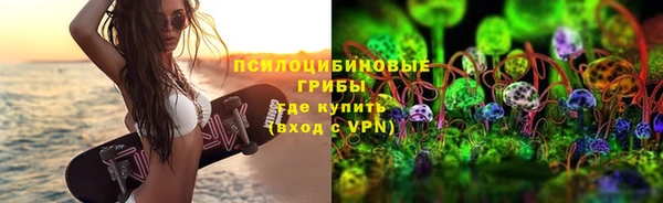a pvp Арсеньев