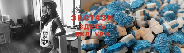 дурь Няндома