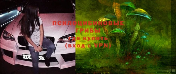 a pvp Арсеньев