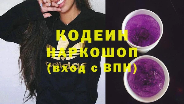 дурь Няндома